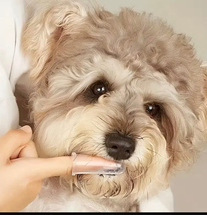 Smart finds - Silicone Pet Brush