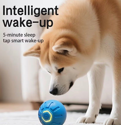 Smart Finds – Gravity Smart Bouncing Ball